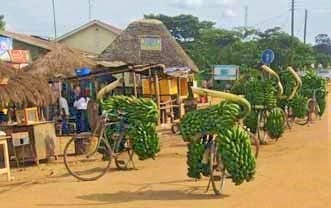 The Kagera Experience kagera tour experience - african cultural tourism